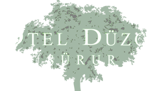 Otel Düzce Sürur